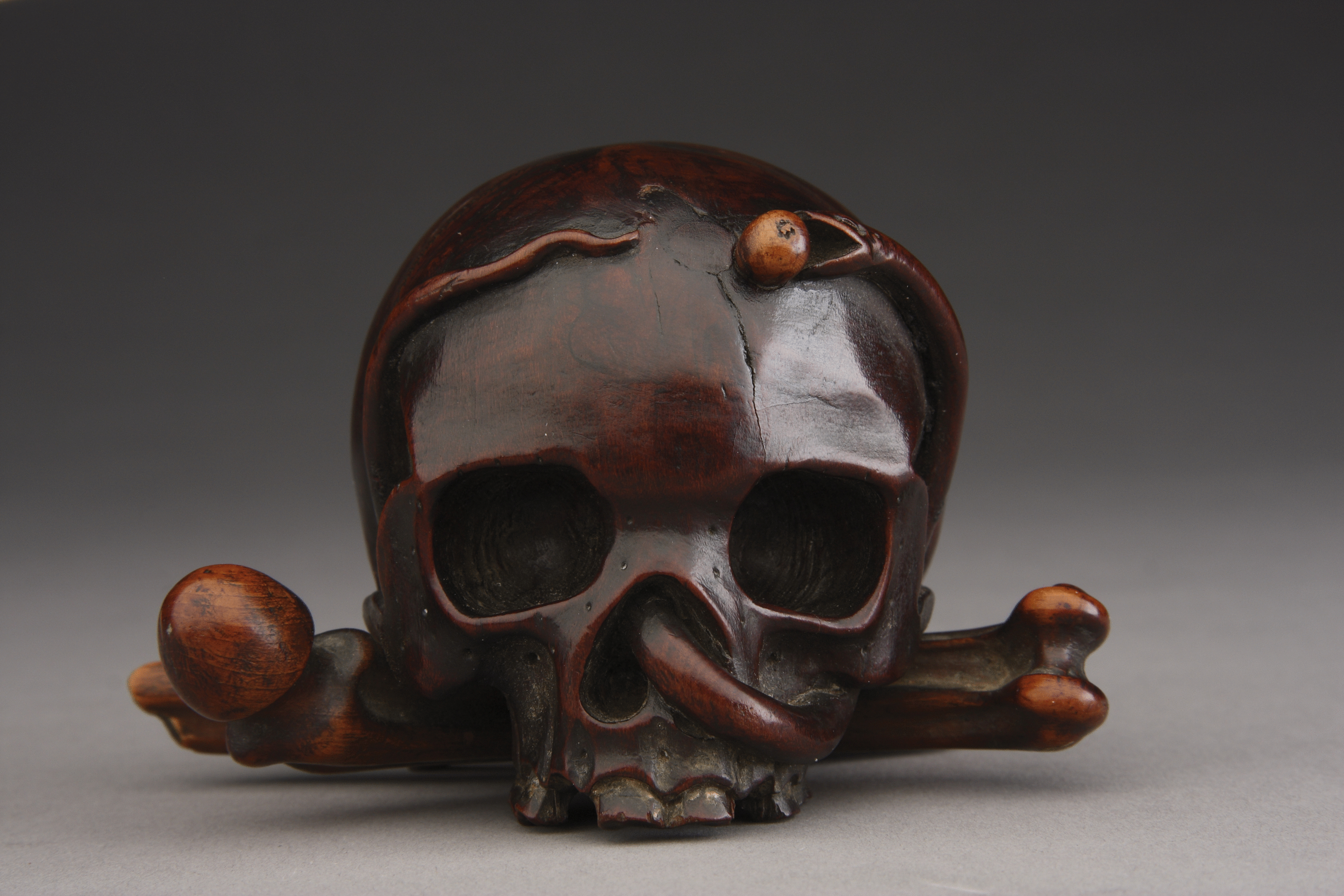 Flemish Carved Boxwood Vanitas of a Human Skull